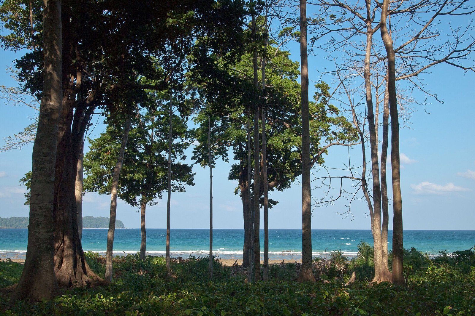 Neil Island